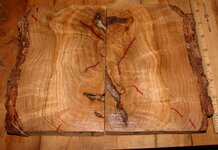 Ash burl.jpg