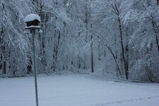 IMG_3571.jpg