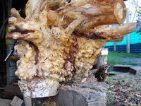 timber preparation 072.jpg