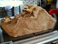 timber preparation 101.jpg