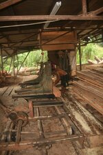 Sawmill2.jpg