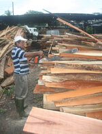 Sawmill.jpg
