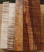 curly koa2.jpg