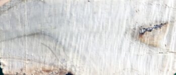 Puzzle 5 Image.jpg