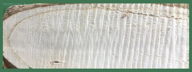 Puzzle 5 Image2.jpg