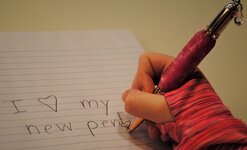 Taylas' Pen 2.jpg