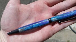 pen 5a.jpg