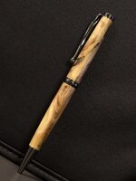 Pen21L.jpg