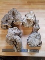 Chamise Burl 1.jpg