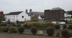 IMG_3175.jpg