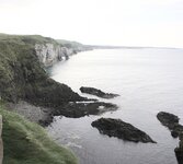 IMG_3193.jpg
