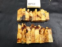 bp53b.jpg bp53b.jpg