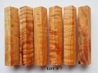 LOT  # 7.jpg