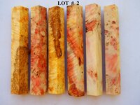 LOT  # 2.jpg
