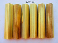 LOT  # 9.jpg