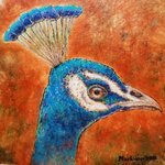 Peacock,Pyro,CP,Acrylic,markison,Mar,2018,2,1000px.jpg