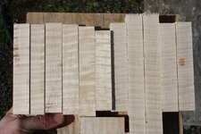 1a curly maple.jpg