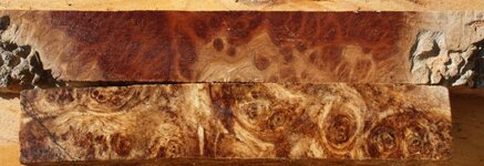 1a spalted maple and two tone red mallee.jpg