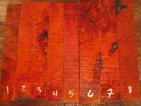 log wood 1a.jpg