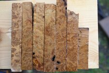 1a brown mallee burl.jpg
