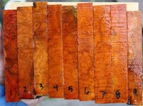 1a logwood burl.jpg