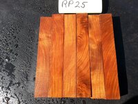 rp25b.jpg rp25b.jpg