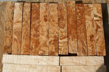 1 1 a ambrosia maple.jpg