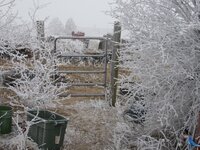 SpringInRockies_01.jpg