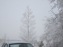 SpringInRockies_02.jpg