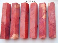 LOT # 6.jpg