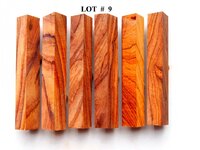 LOT  #  9.jpg