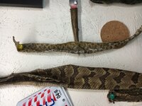 82BC3798-B62E-480E-9715-0E7CBC107BA5.jpg