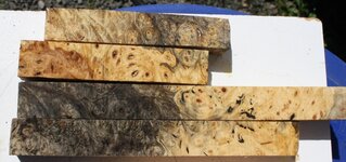 1 1 1 buckeye burl.jpg