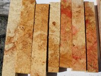 1 1 1 box elder 2.jpg