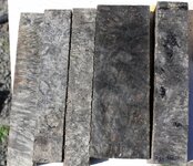1 1 1 black dyed box elder buckeye.jpg