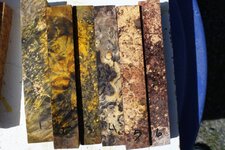 1 1 1 dyed box elder.jpg
