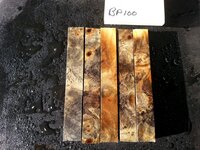 bp100b.jpg