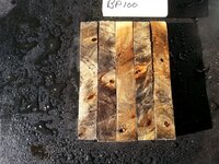 bp100a.jpg