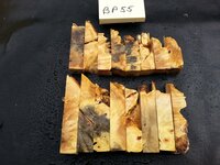 bp55aa.jpg bp55aa.jpg