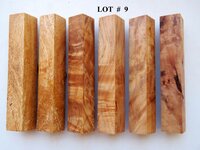 LOT  #  9.jpg