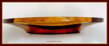 Cocobolo Dish v5(F+).jpg