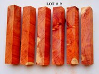 LOT  #  9.jpg