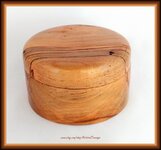 Ambrosia Maple Lidded Box v1(F+).jpg