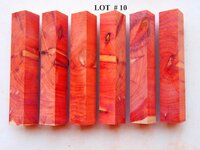 LOT  #  10.jpg