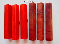 LOT  #  1.jpg