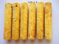 LOT  #  8.jpg