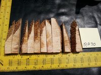 rp70a.jpg rp70a.jpg