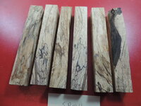 DSCN0097.JPG