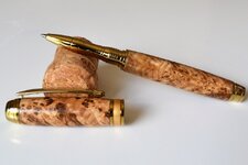DSC_0313.jpg