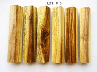 LOT  #  5.jpg